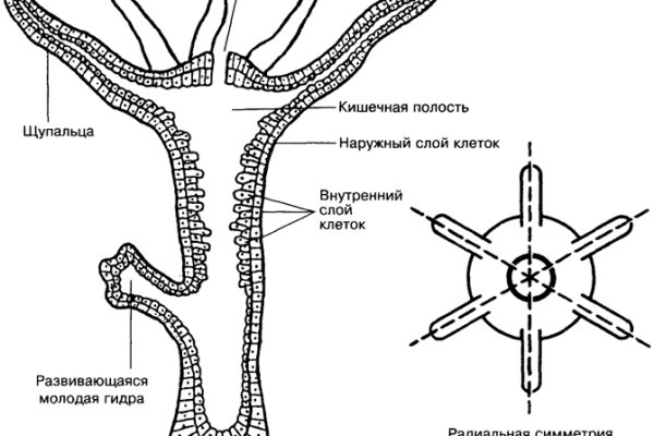 Ссылка omg omg в тор